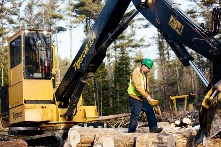 Biomass Energy: Using Wood Waste for Electricity and Heat
