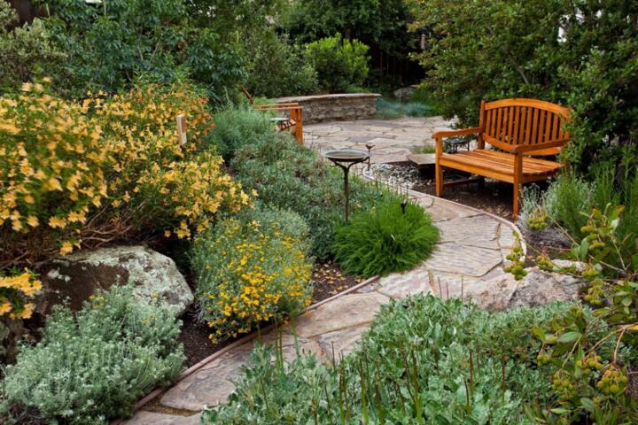 Native Landscaping: Reducing Water Usage with Local Plants