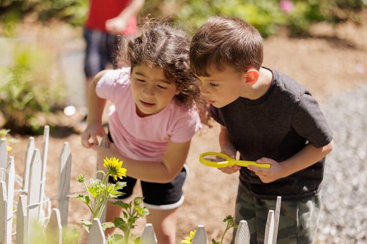 Childhood in Nature: The Benefits of Growing Up Outdoors