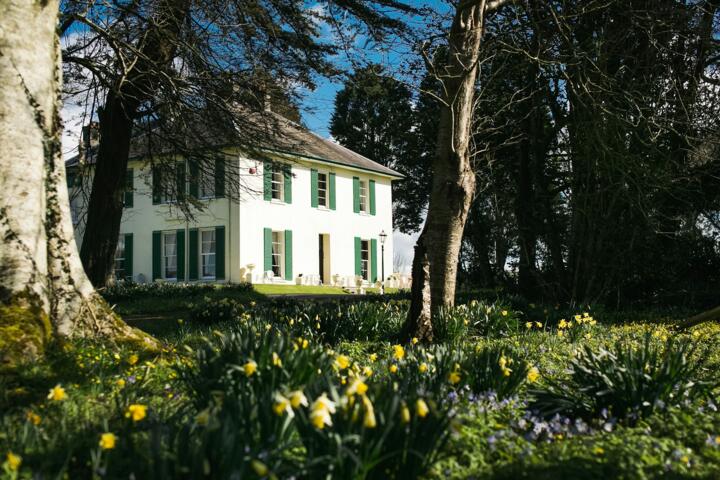 Hosting in the Country: Tips for Weekend Guests and Large Gatherings