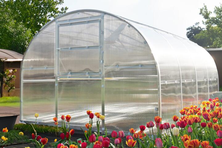Greenhouse vs. Poly-Tunnel: Which is Right for Your Growing Season?