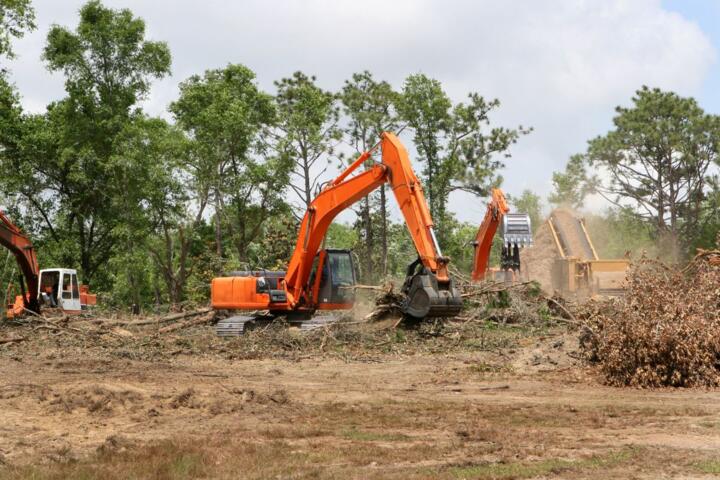 Land Clearing: When to Use a Bulldozer vs. Manual Labor