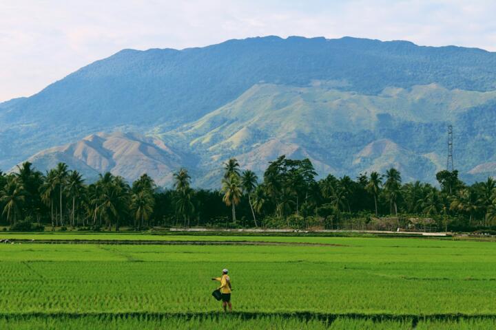 Monetizing Your Acreage: Agri-Tourism, AirBnb, or Small-Scale Farming