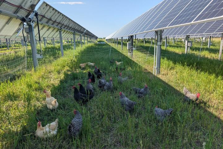 Renting Your Land for Solar Farms: A Passive Income Stream?