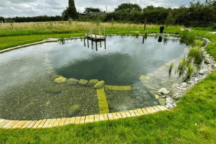Building a Natural Swimming Pond: Filtration Without Chemicals