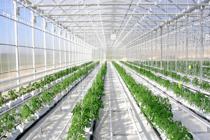 Greenhouse Automation: Managing Climate with Small Solar Systems