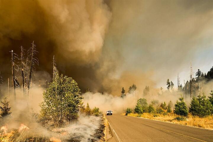Protecting Your Property from Wildfires: Defensible Space Strategies